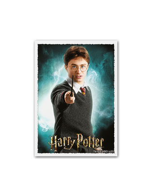 Протектори для карт Dragon Shield WizardingWorld Harry Potter, Art